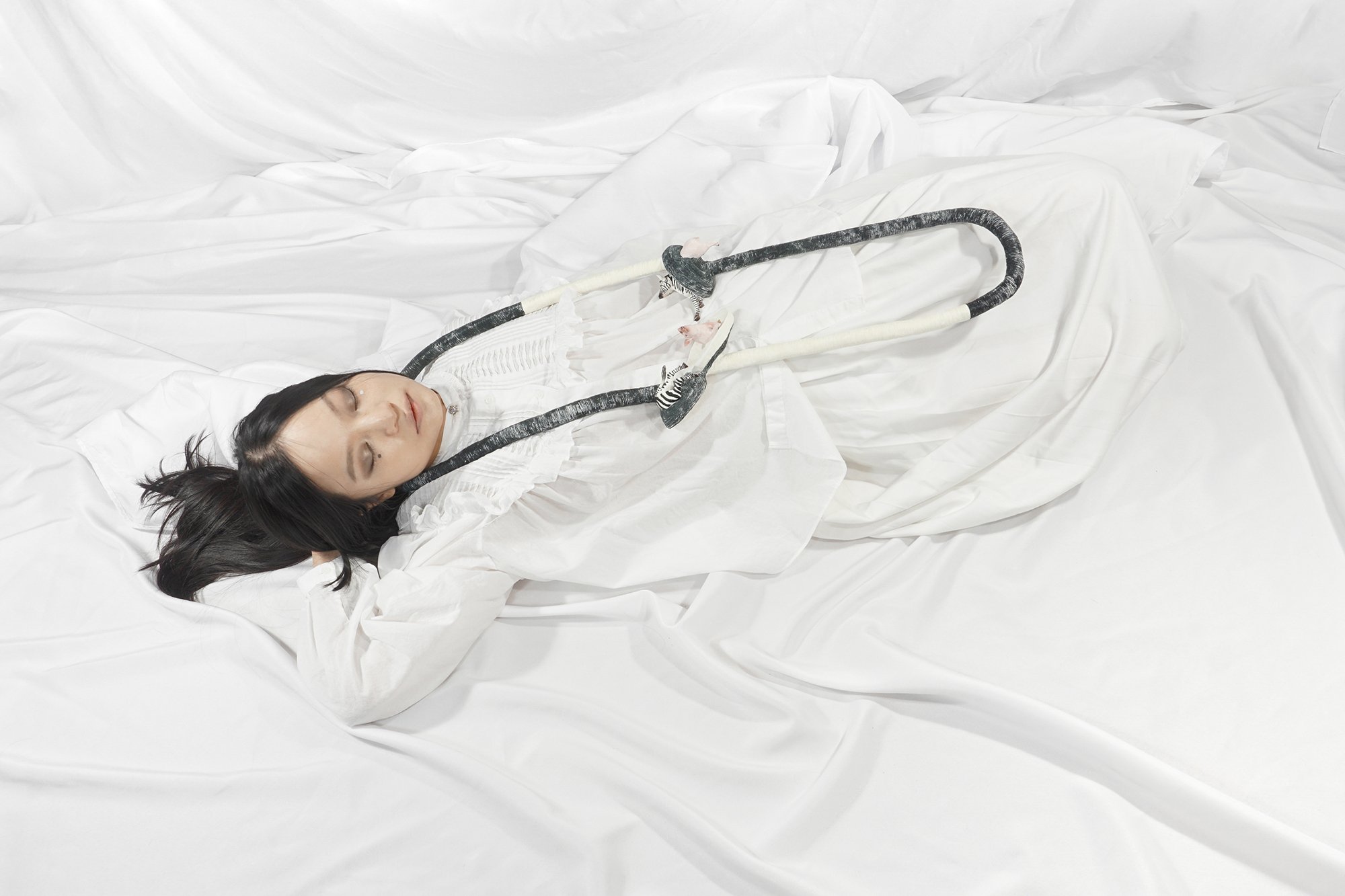 Wu_Access to unknown worlds6_model1.jpg