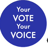 your vote your voice.png