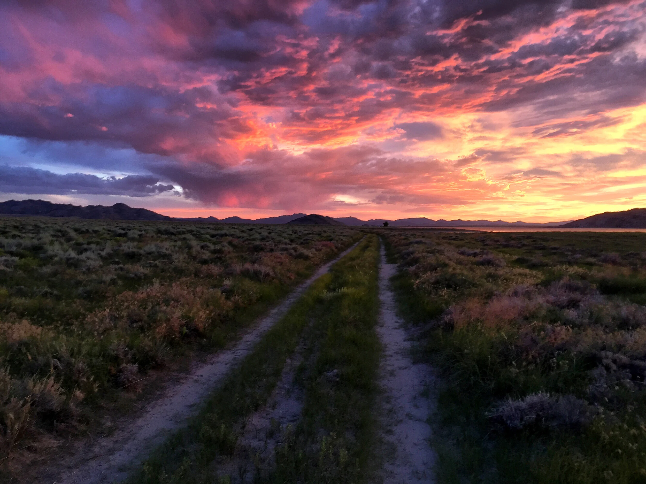 Path to Paradise .JPG