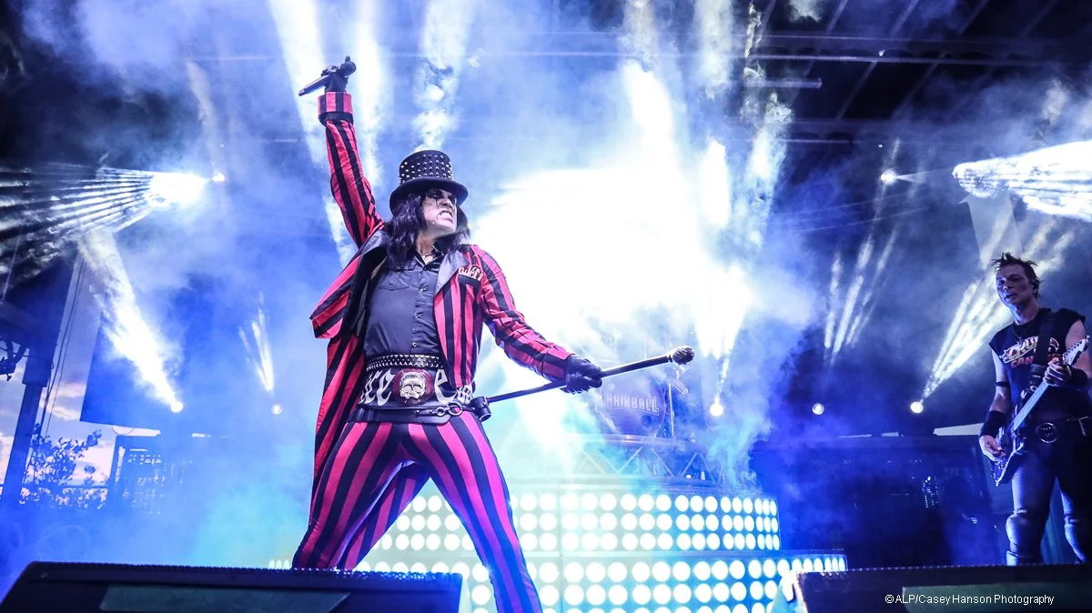 Hairball 22-122.jpg