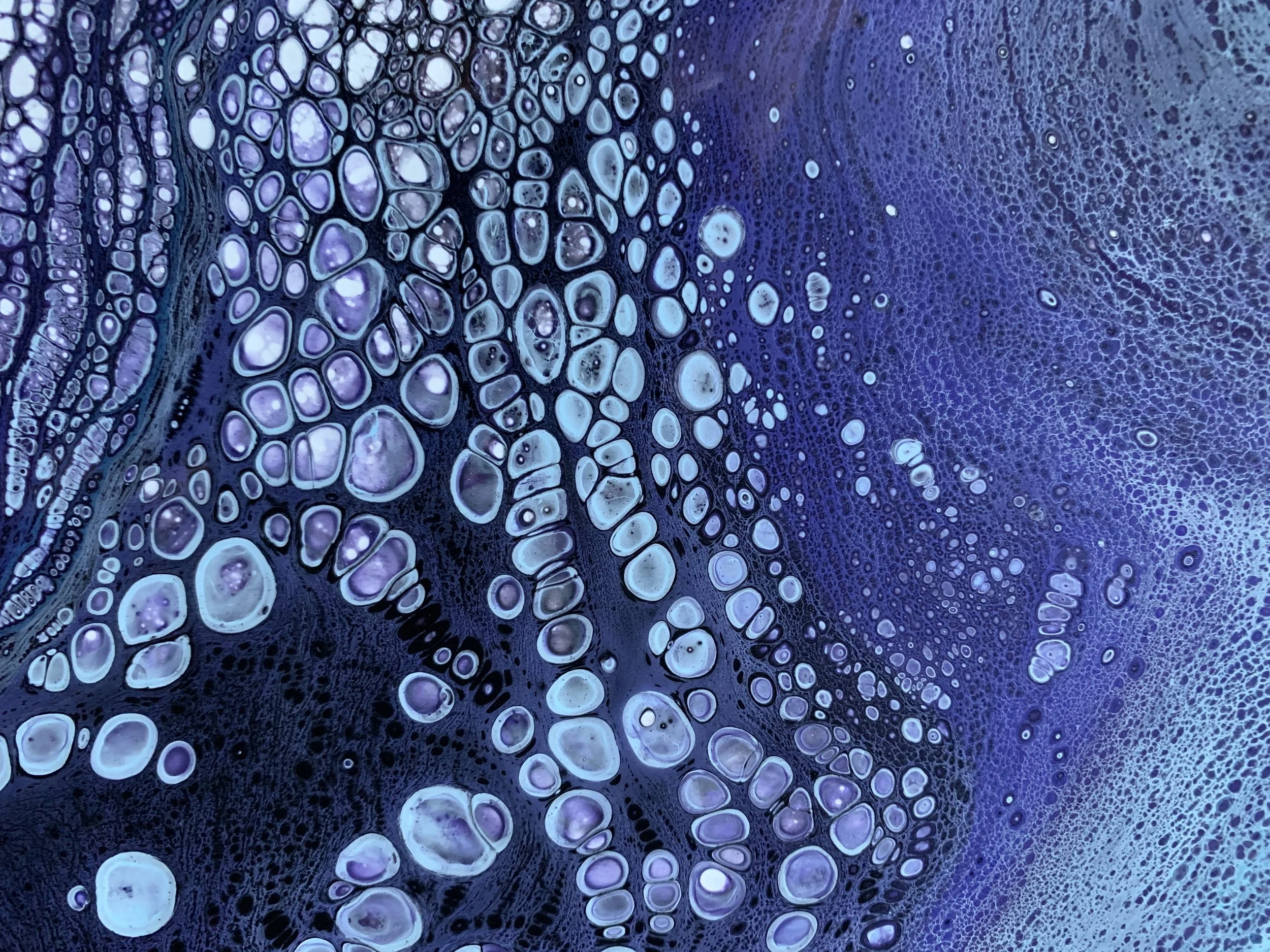Violet and Blue - Casey Hanson.JPG