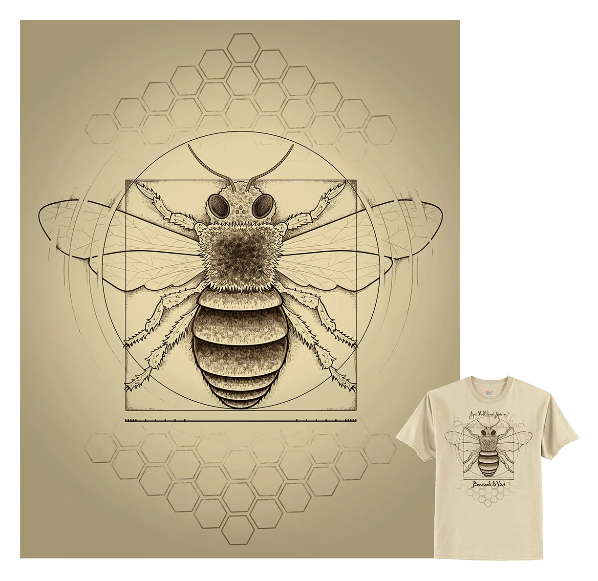beeonardo_p.jpg