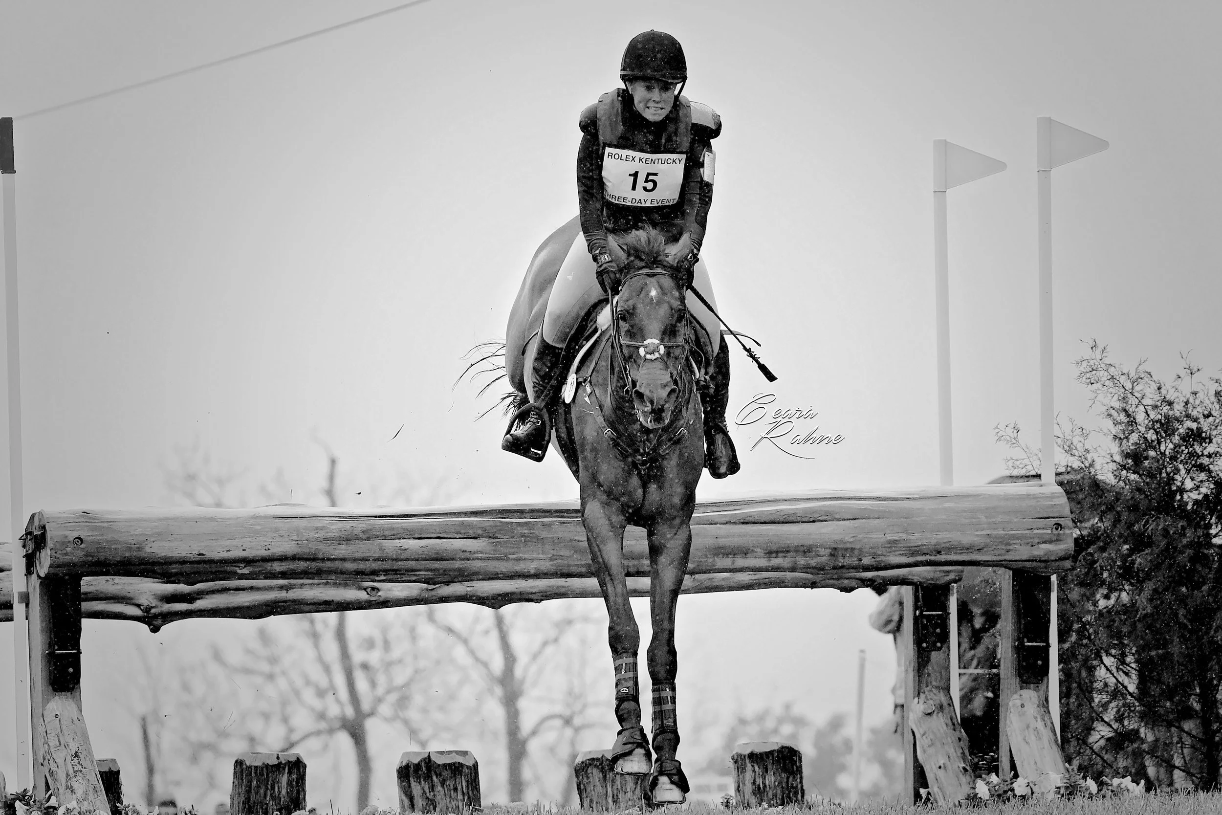 Colleen Rutledge
