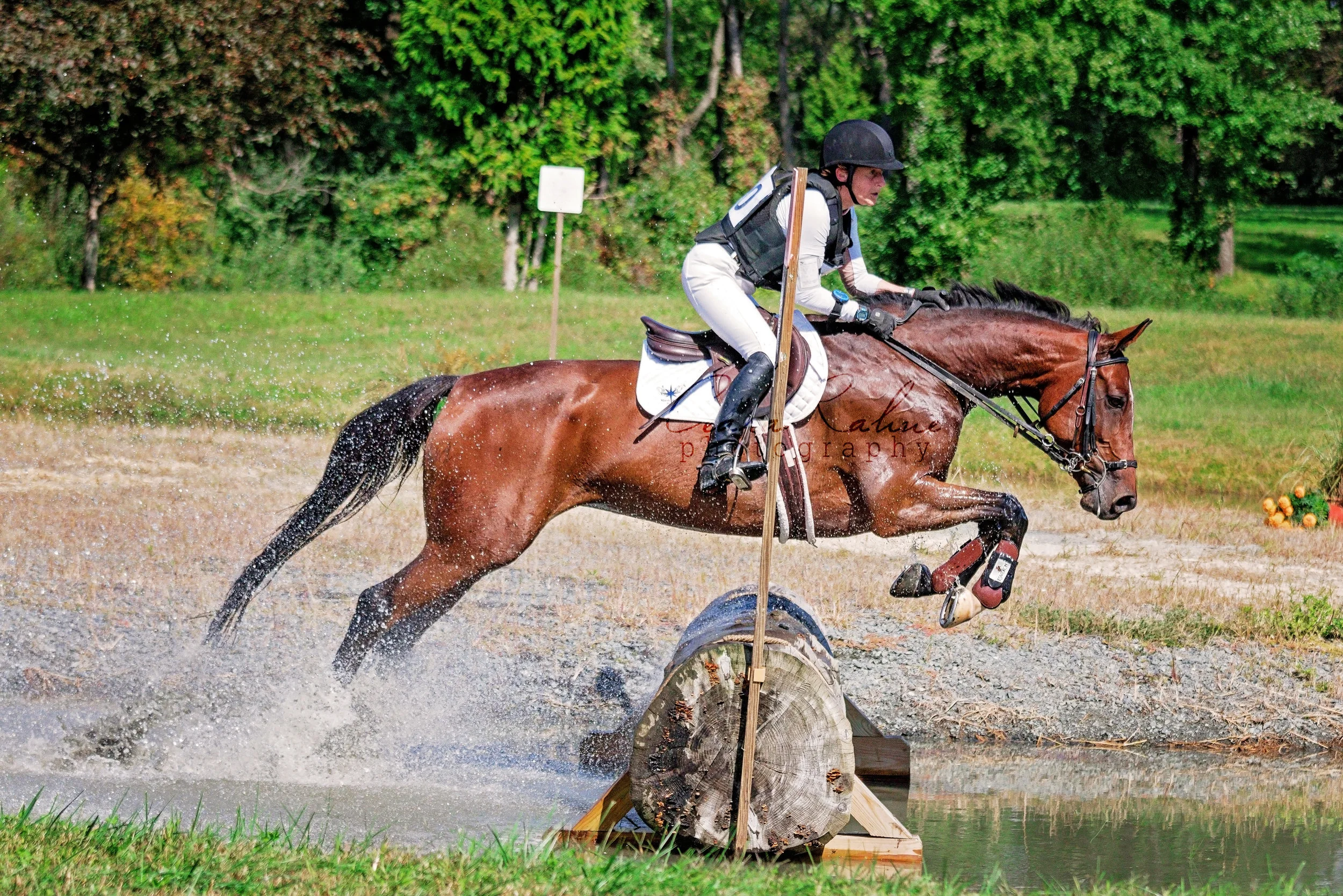 Horse Park of New Jersey 09/30/18 © Ceara Rahne Photography