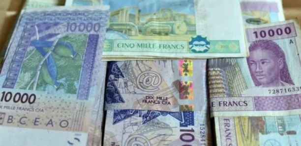 Franc Cfa, le silence complice des progressistes français