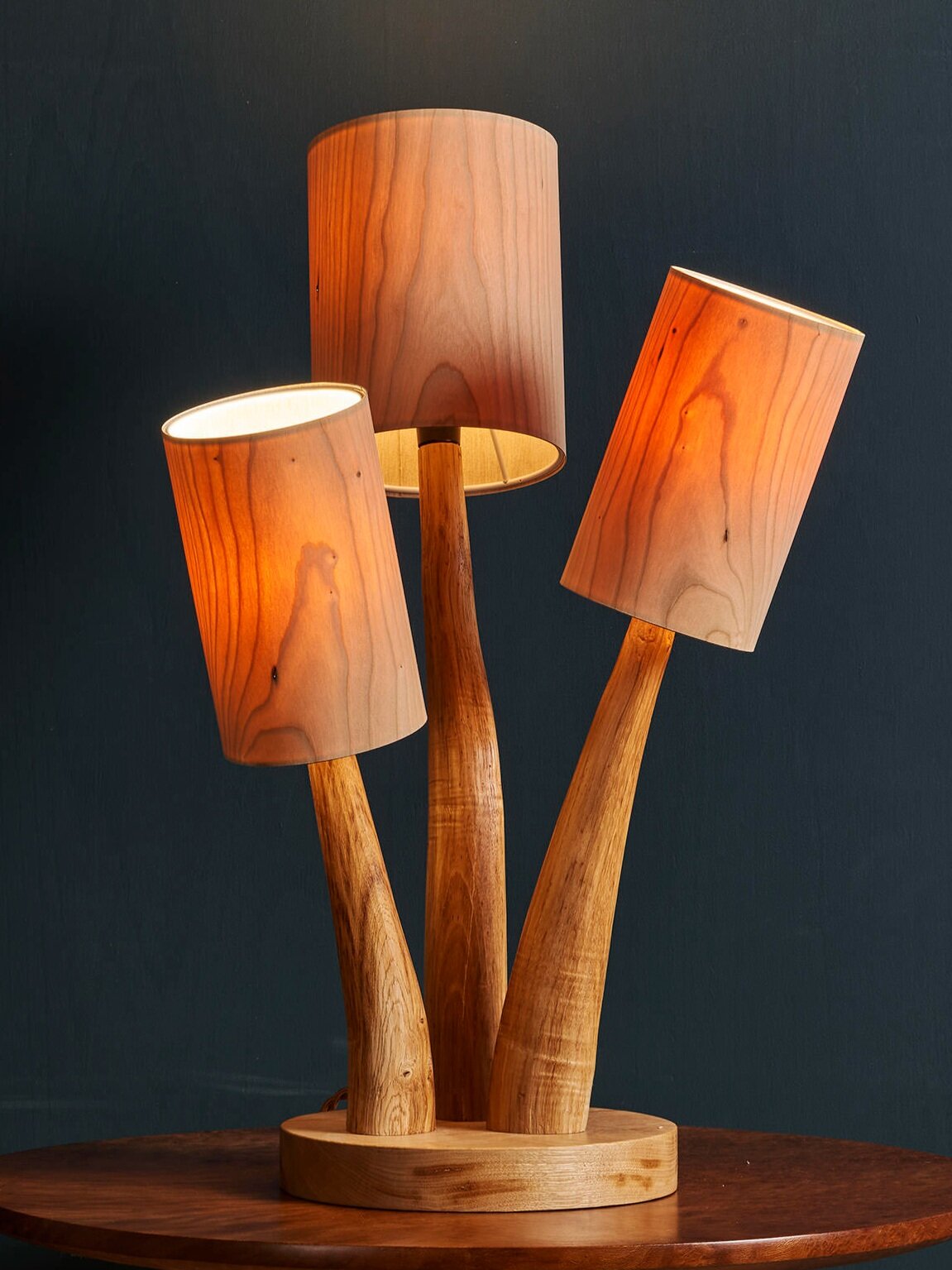 LAMPTC1..jpg