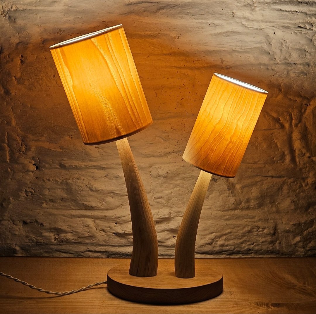 ChD5and4Lamp.jpg