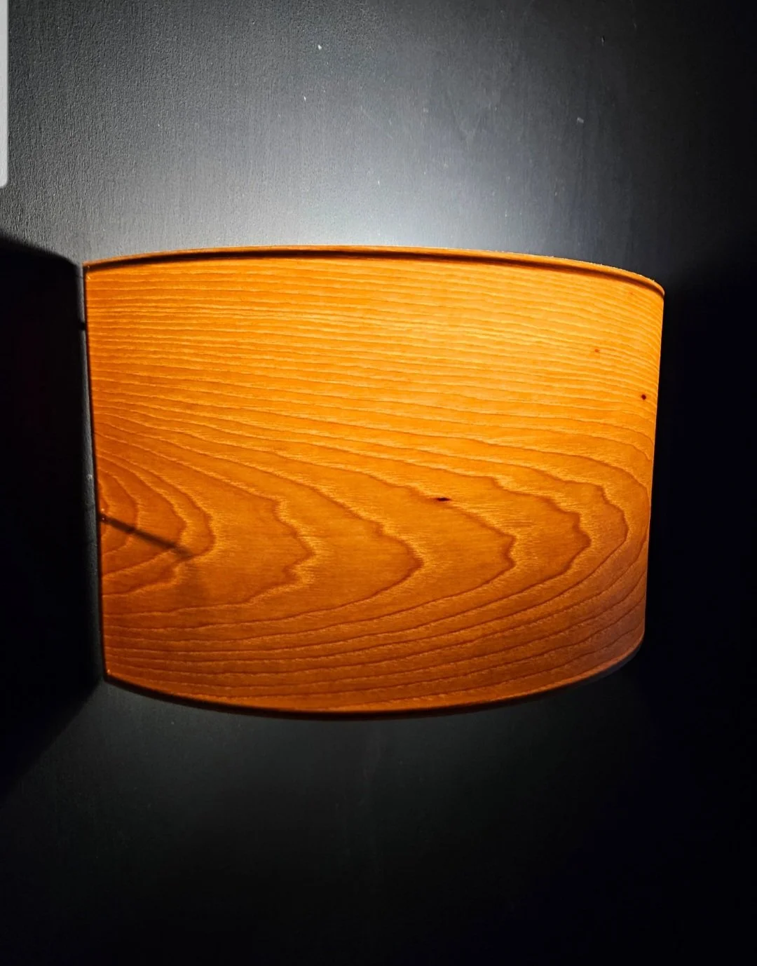 Wall Mounted Lampshade Peter Lanyon.jpg