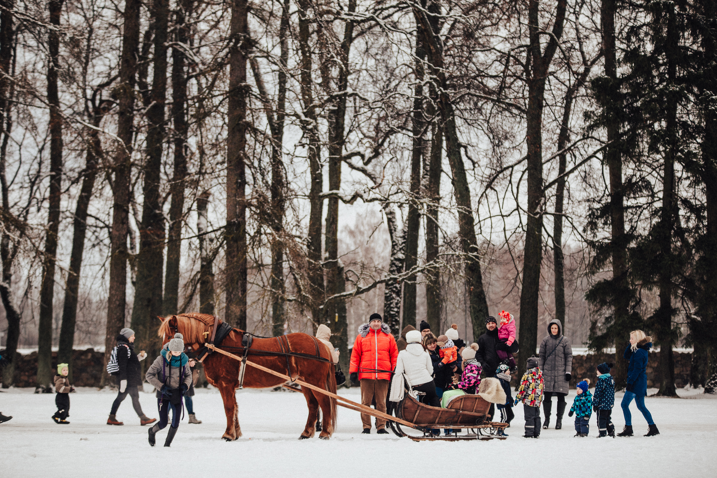 3. feb Tirdziņš-175.jpg