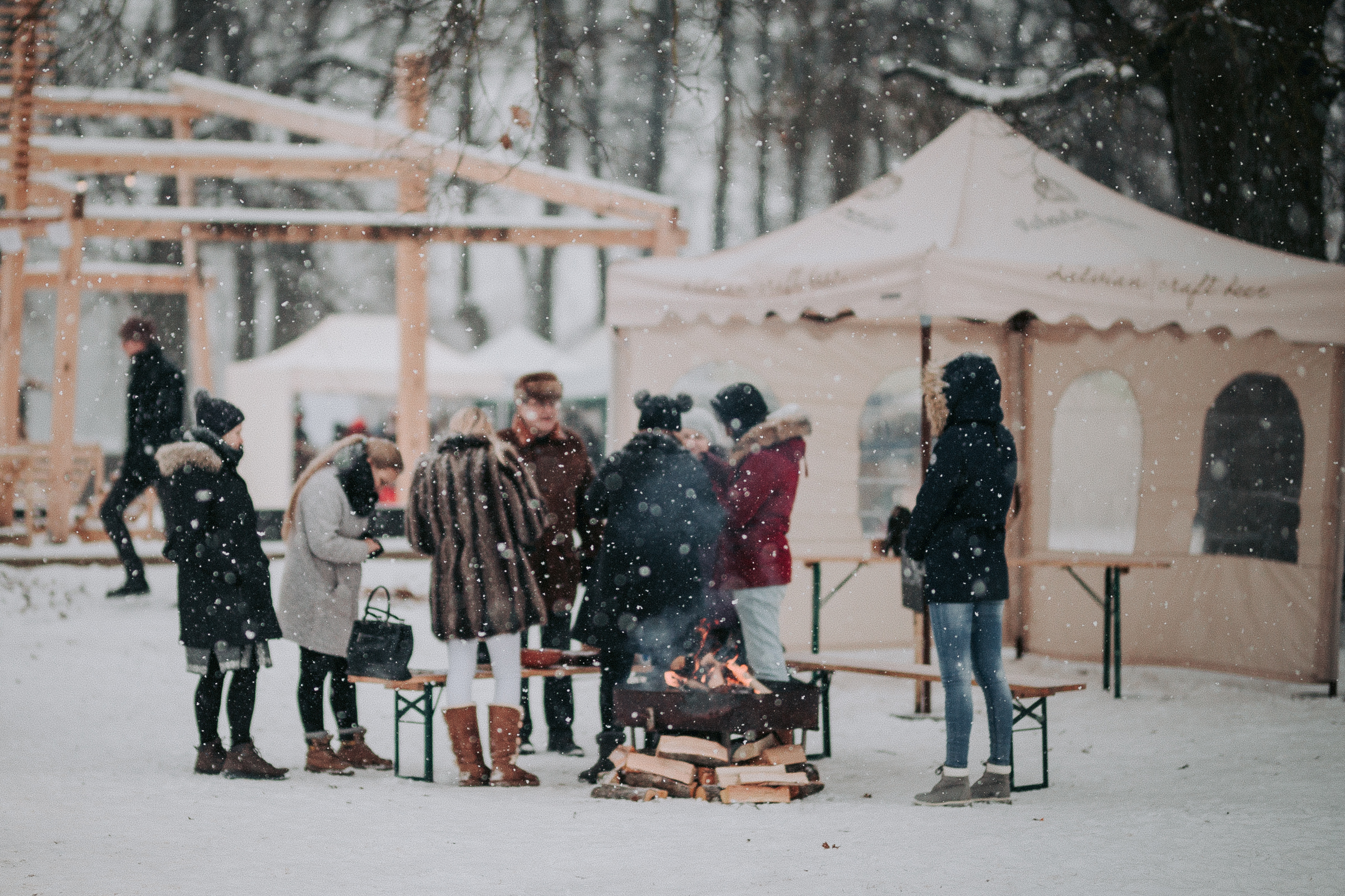 ziemas-saulgriezi-gardu-muti (200).jpg