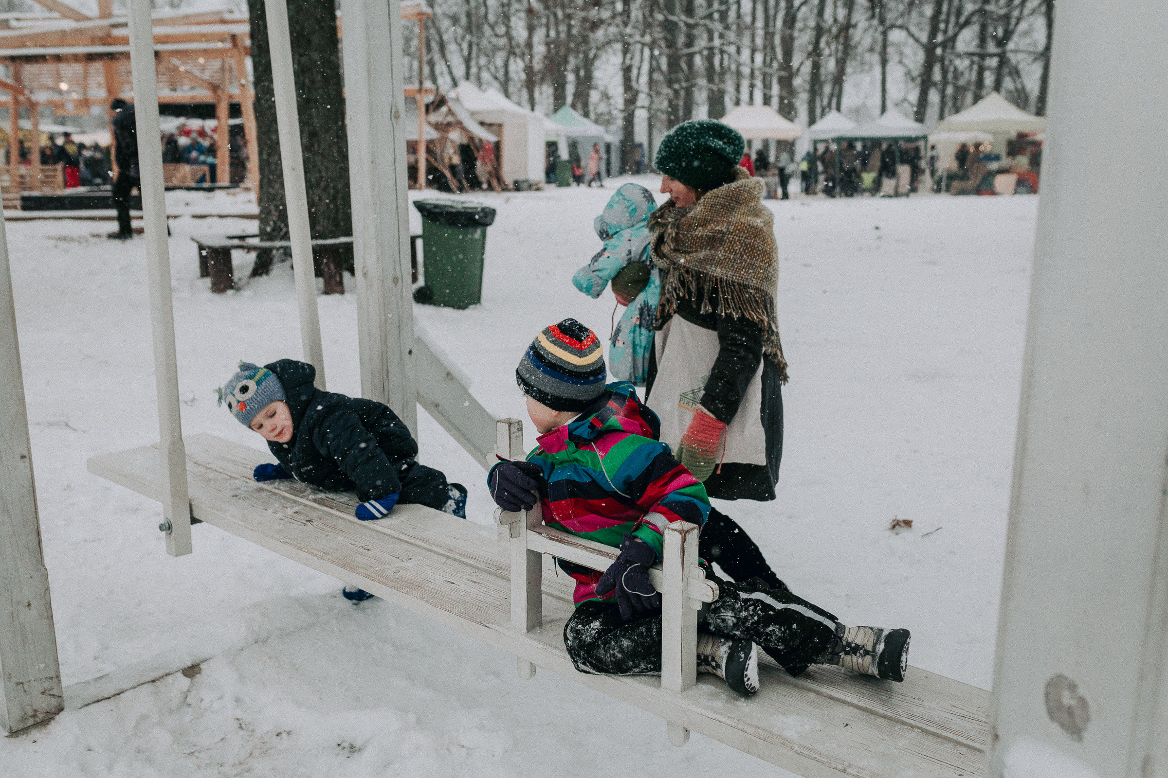 ziemas-saulgriezi-gardu-muti (201).jpg