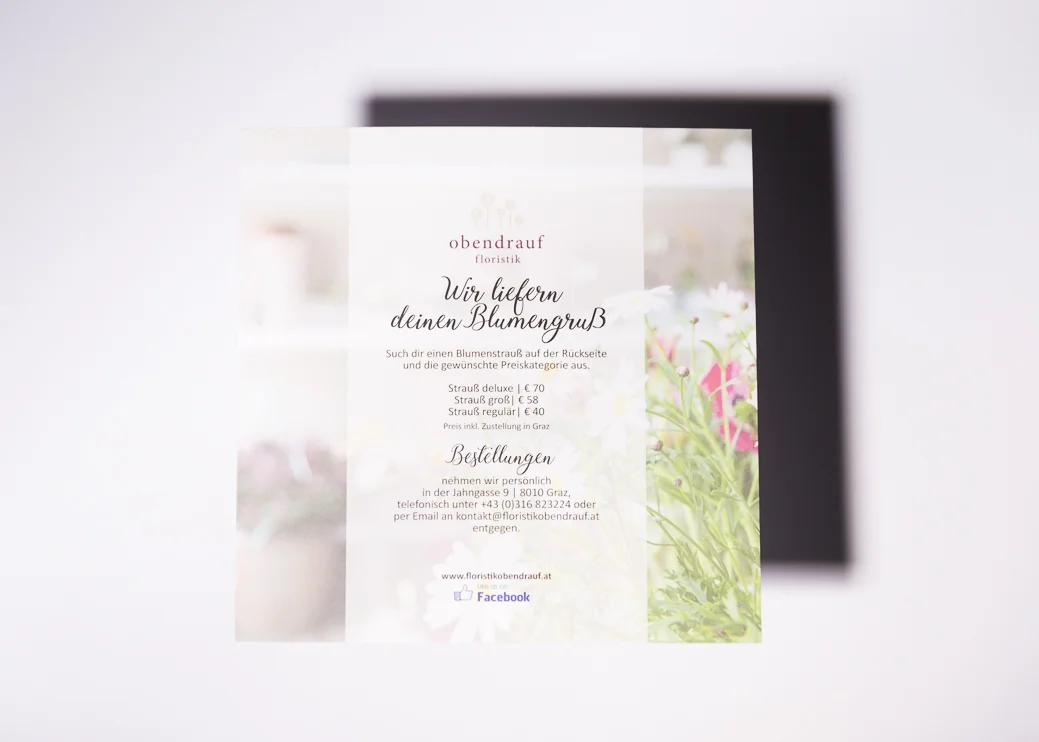 Druckprodukt2018-Flyer-2.jpg