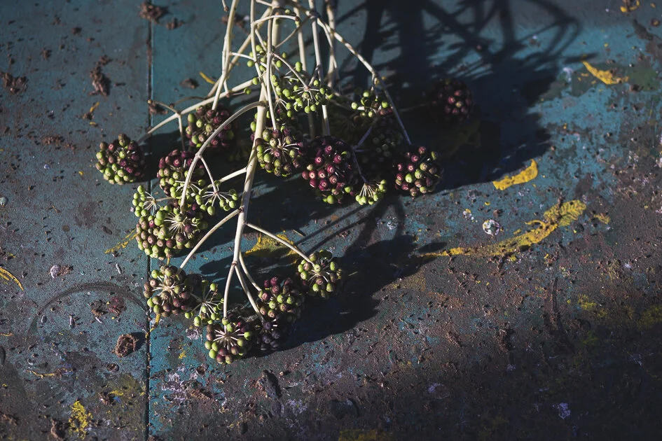 Floral-art-1.jpg