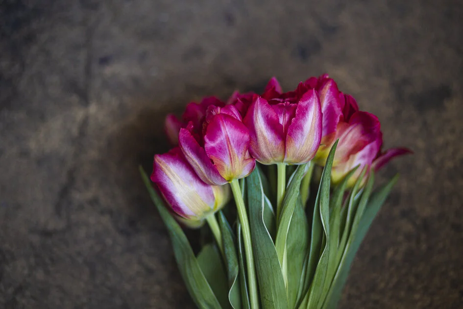 Floral-art-2.jpg