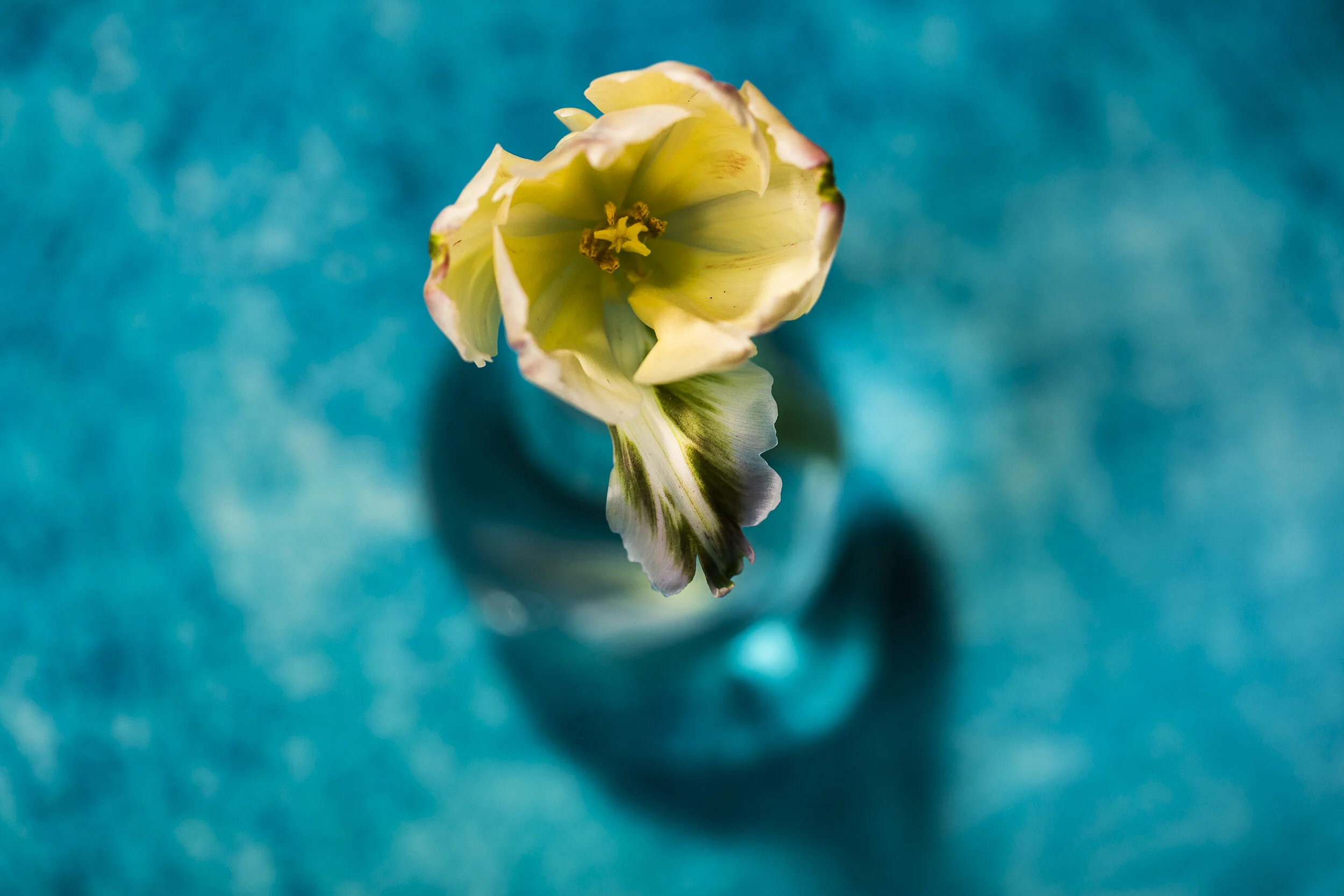 Ansichtssache-2019-10.jpg
