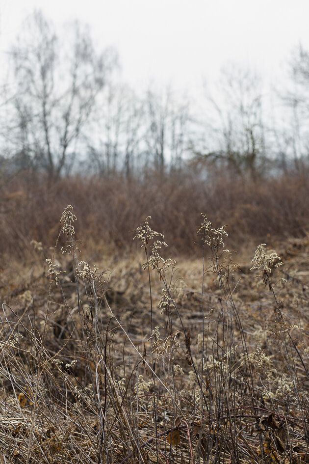 Lakeside-14.jpg