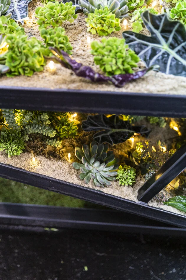 AlpeAdriaCupFlorist-10.jpg