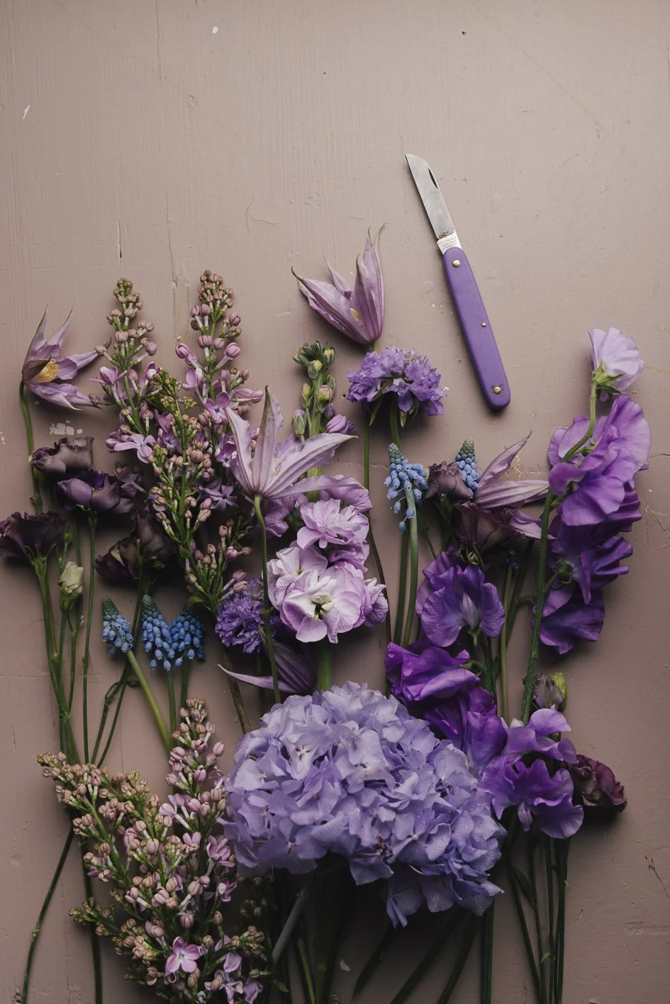 DigitalLavender_watl.at-dig-88.jpg