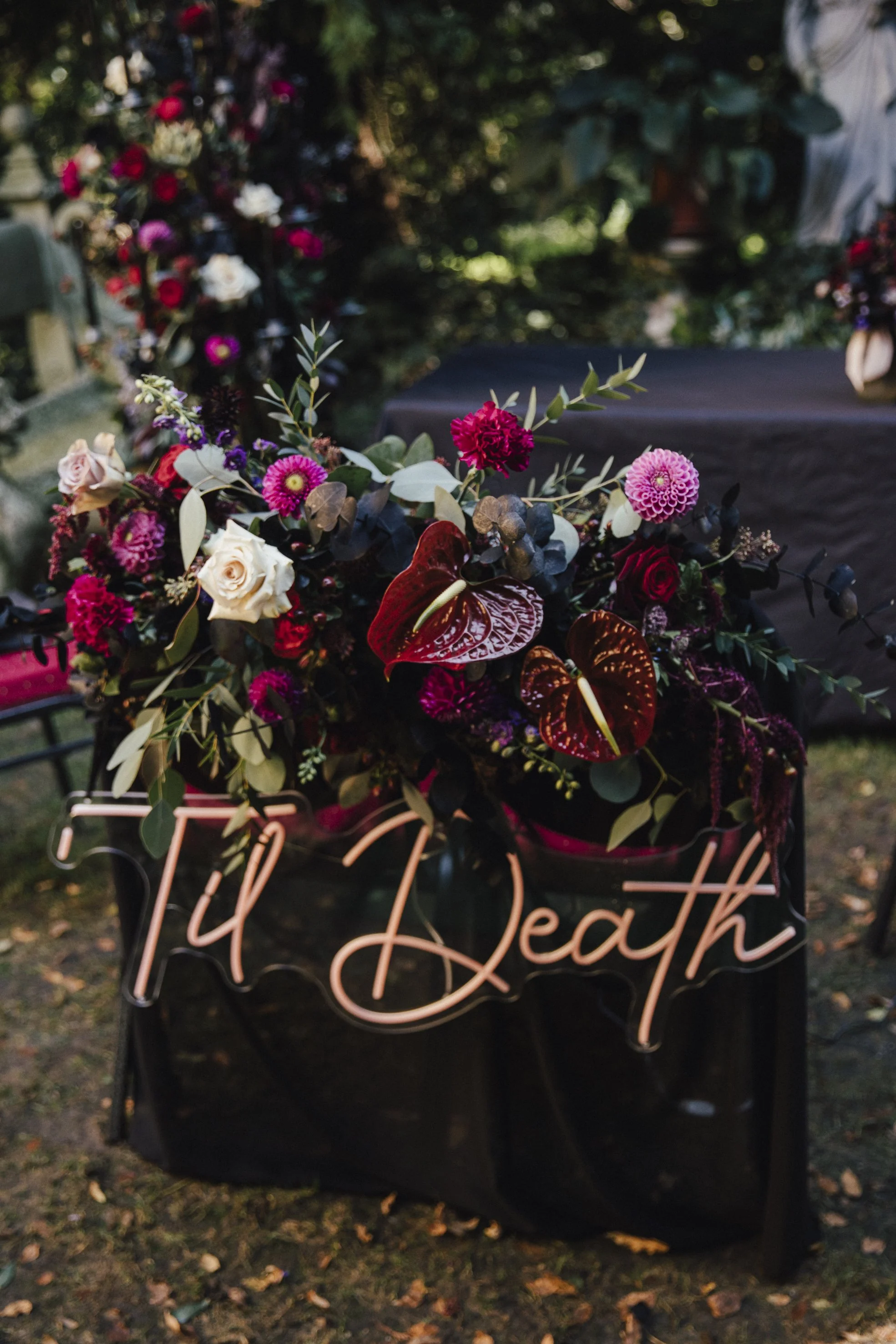 Obendrauf 09-2024 Laubegg.Mystik-138.jpg