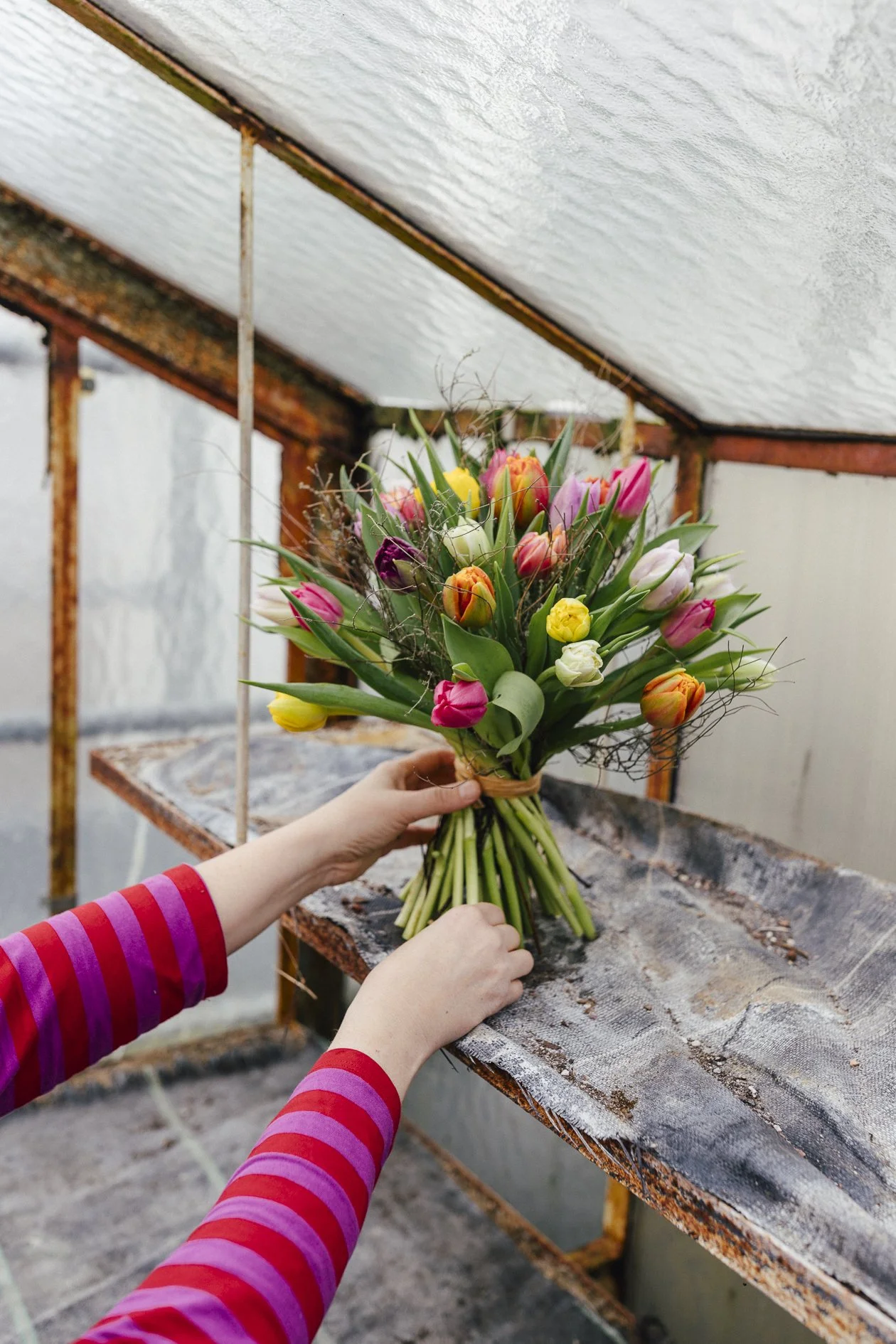 BlumenRuprecht.Shooting.Spring.012026_watl.at-104.jpg