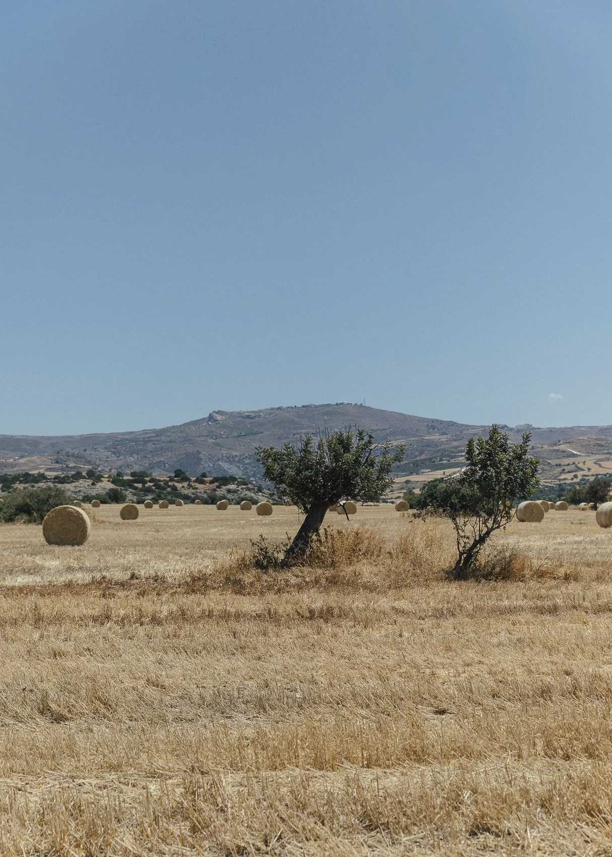 Zypern-110.jpg