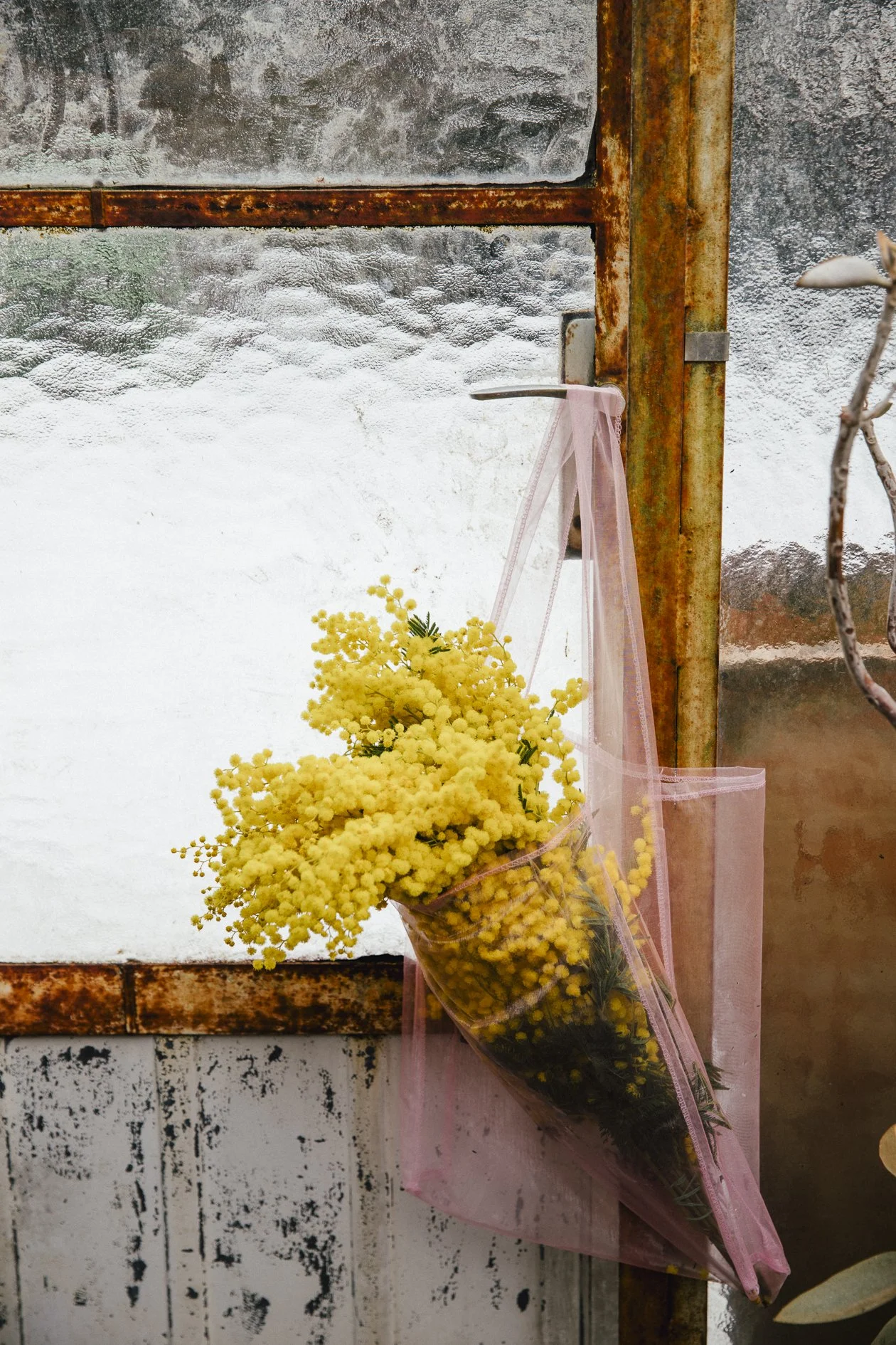 BlumenRuprecht.Shooting.Spring.012026_watl.at-211.jpg