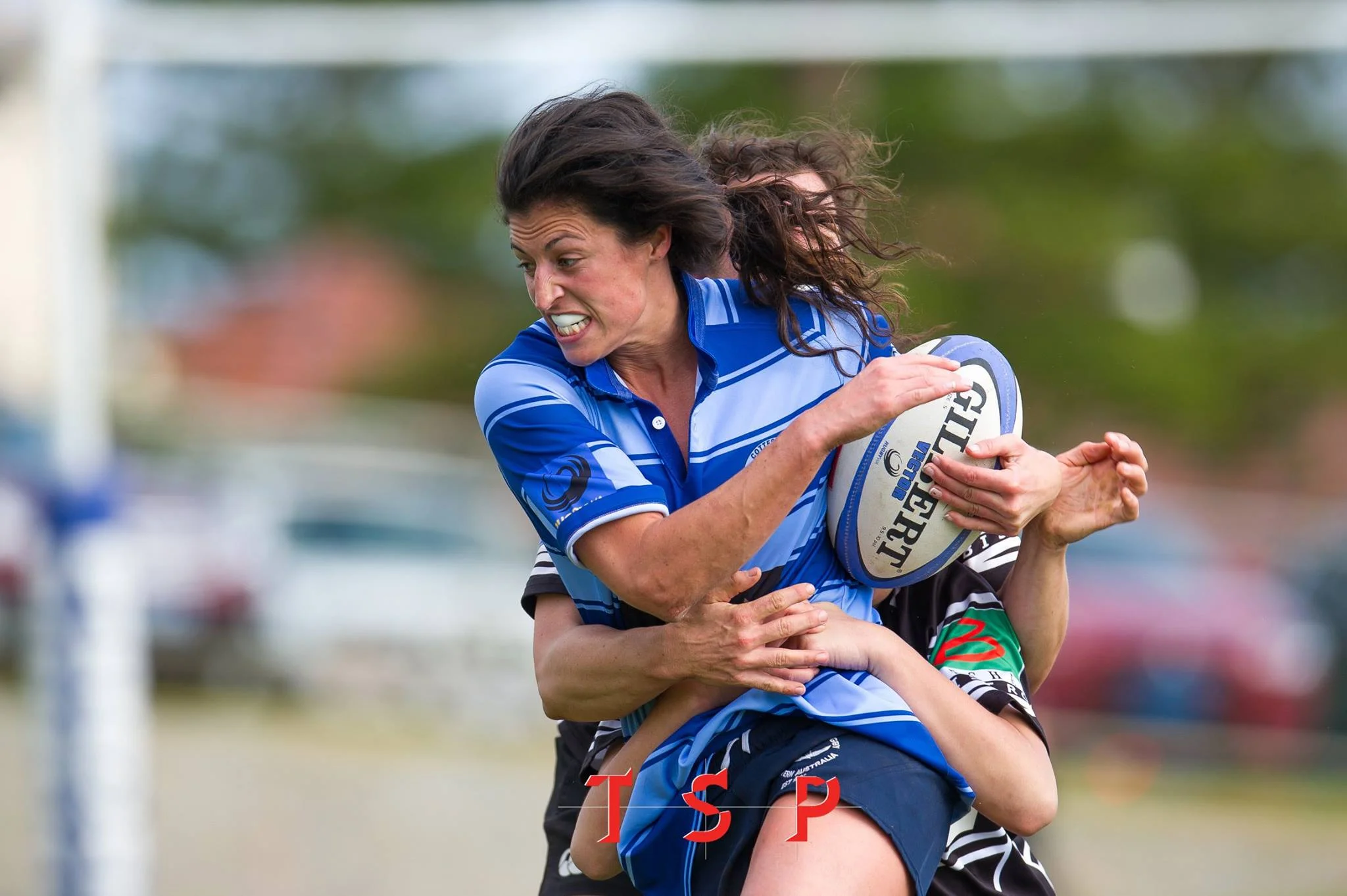 Fixtures and Results — Cottesloe Rugby Union Football Club