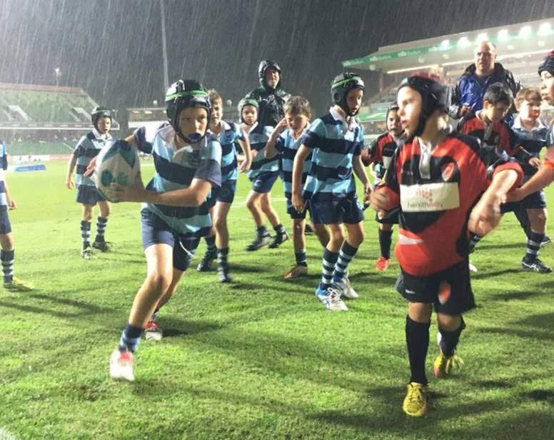 Cott Rugby | Playing At NIB Stadium