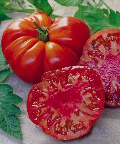 Owls Acre Seed Tomato Tomande