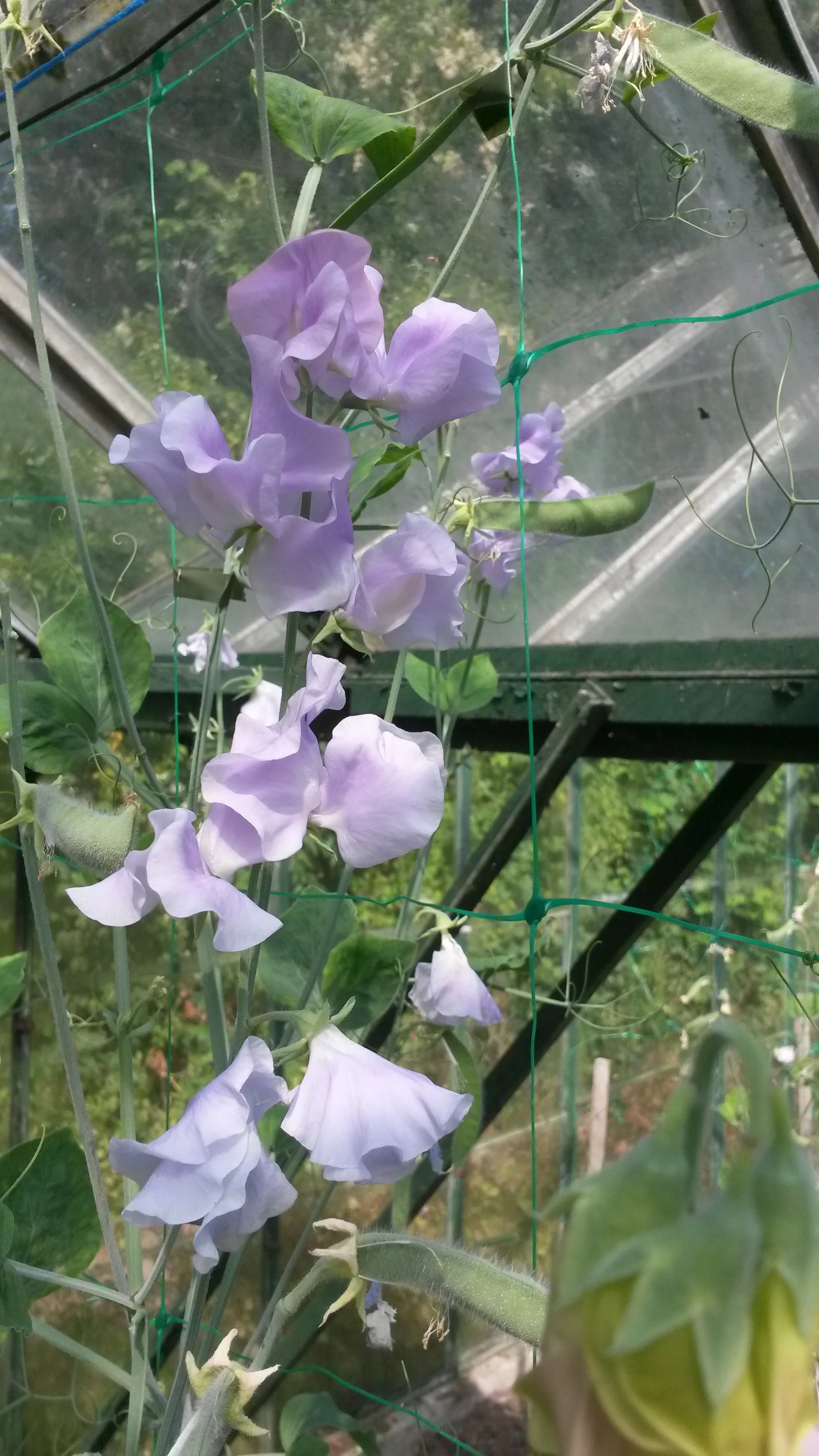 20180719_102825.jpg