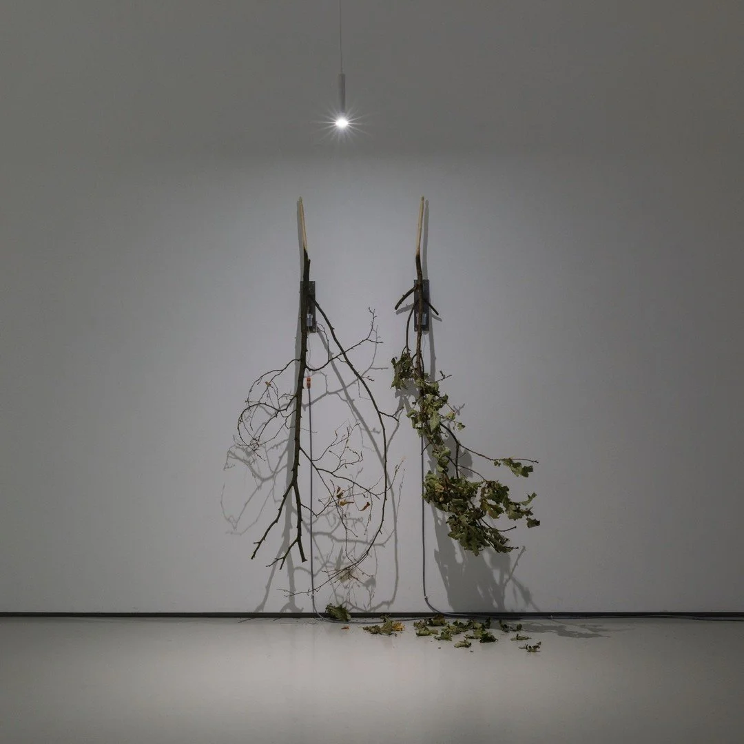 FELIX KIESSLING
Echtzeit 
Mar 3 - Apr 8, 2023 @alexanderlevygallery 

How an artist brings the the &quot;world&quot; - it's movements, sounds, natural forces and other phenomena into an exhibition space in real time and thus makes them perceptible to