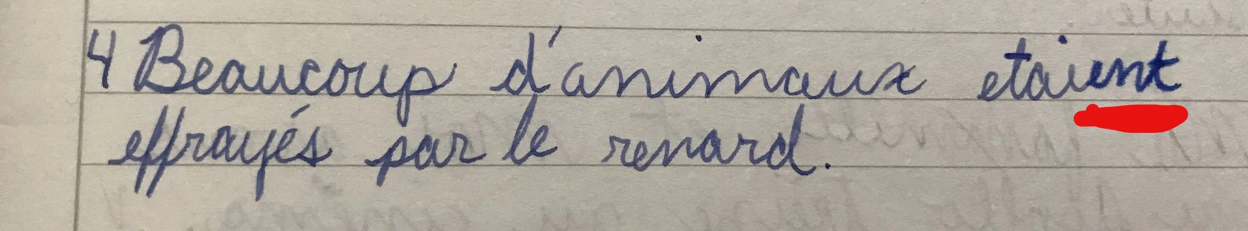 “Lots of animals were frightened of the fox.” Note the ever-so-slightly thicker blue line of “étaient”: that, my friends, is the telltale sign of my carelessness, as told by the blue felt-tipped correction pen. I realize that to the naked eye, this may not be obvious, but to me it is glaring. The Swiss ruined me a little.