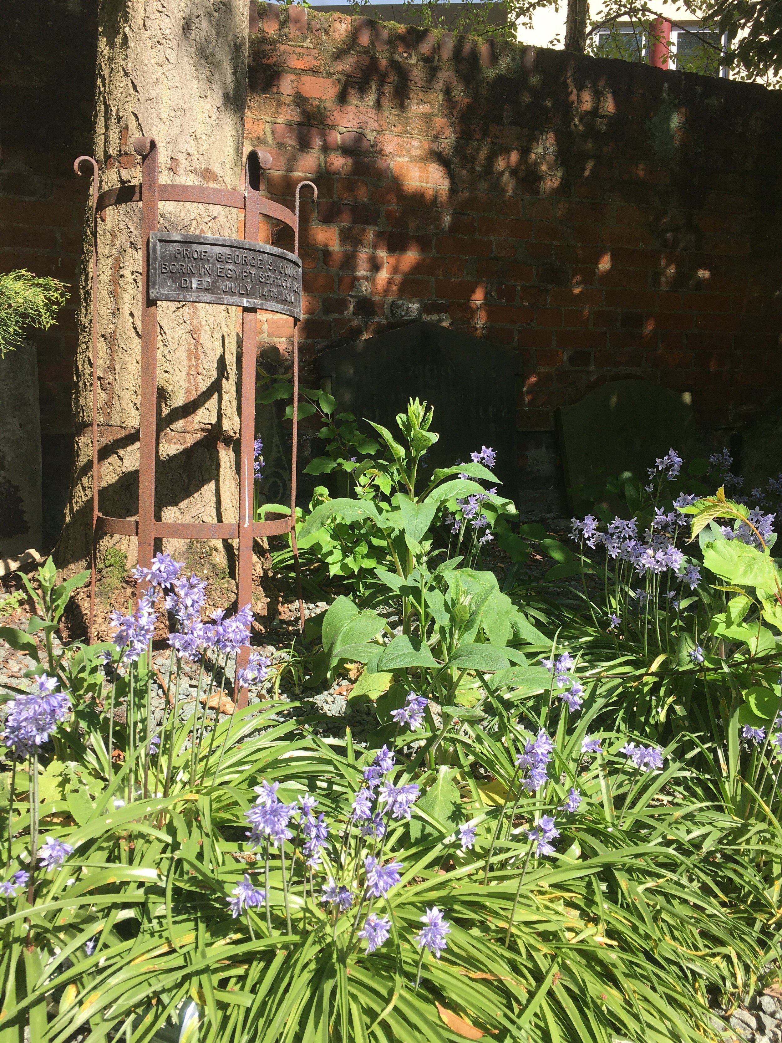 Churchyard+and+Bluebells+April+2020.jpg