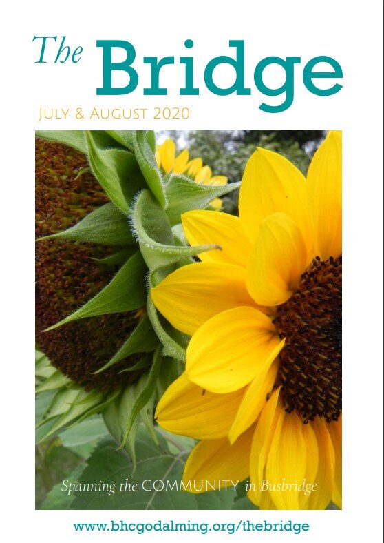 Bridge cover july 2020.jpg