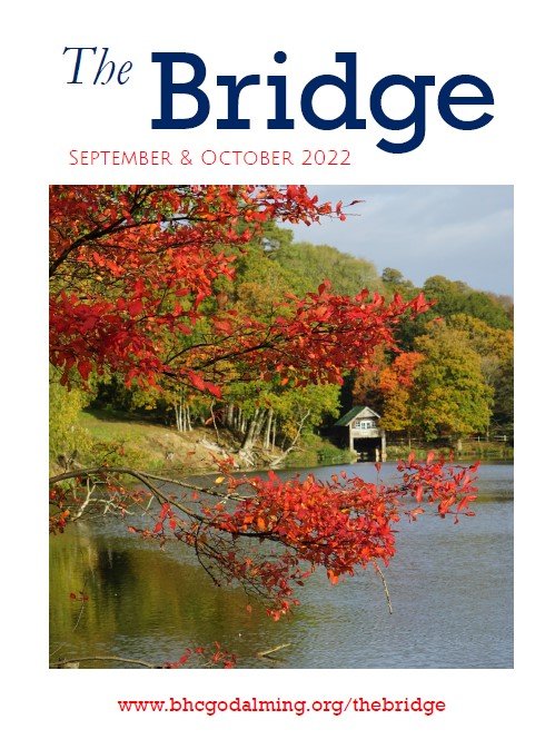 Bridge cover 220910.jpg