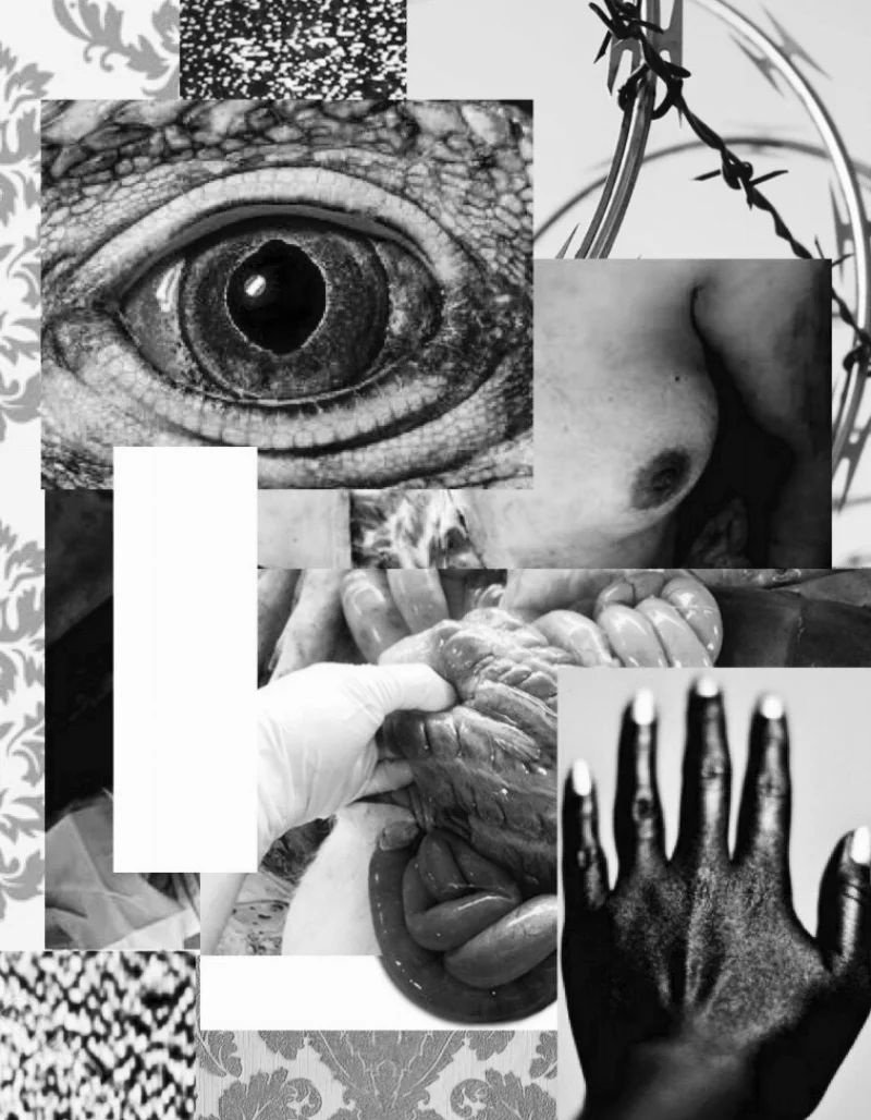 “Untitled” - Set Of Disorders