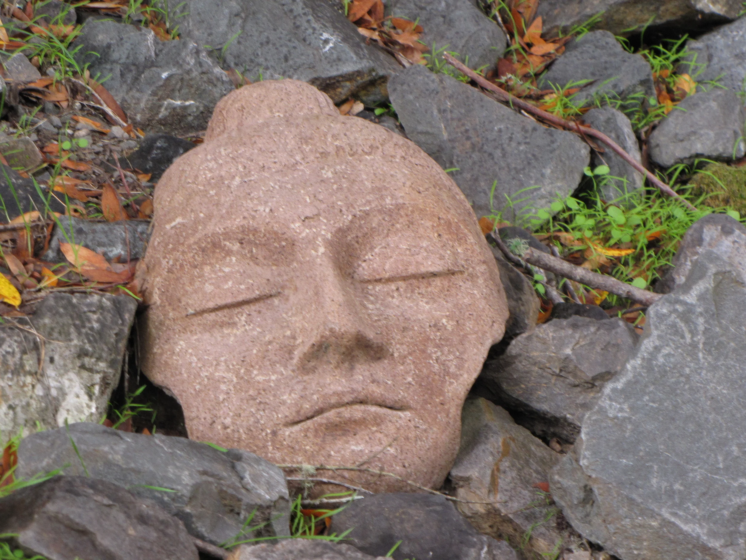 Homo has a Sapiens Problem (Rev. Tom VandeStadt)