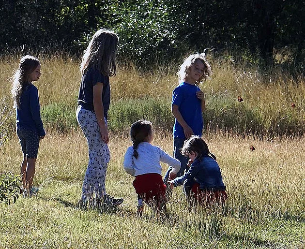 Gratitude for Worship on the Land (Rev. Carmen Retzlaff)