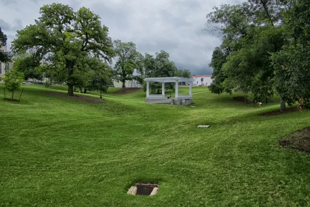 My Favorite Trees (Chris Searles)