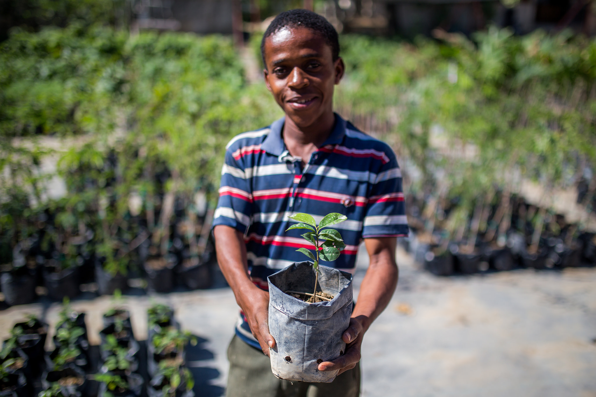 Photos courtesy of Plant With Purpose. 