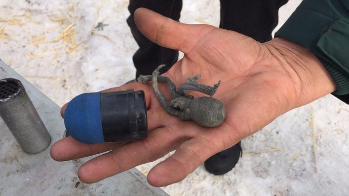 Objects shot at protesters. 