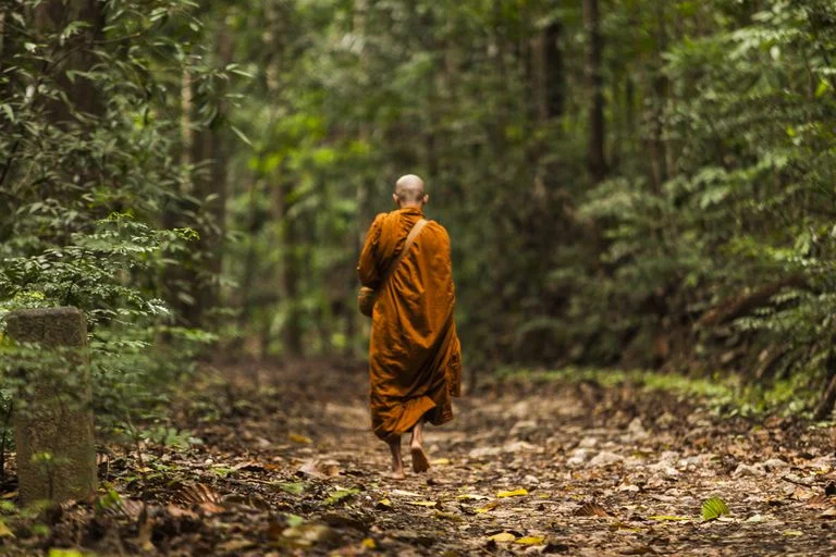 Thai Forest Buddhism (videos)