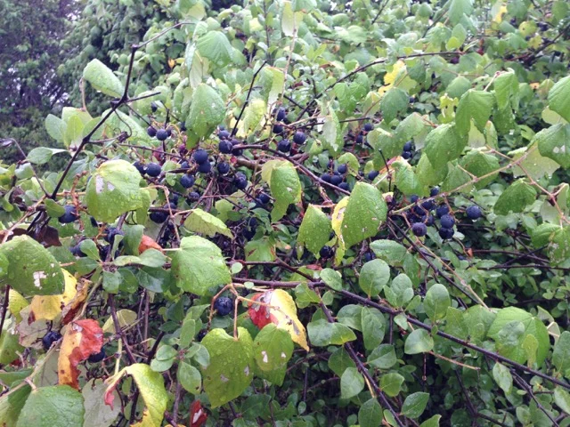 Calm The Storm (Rev. Carmen Retzlaff)