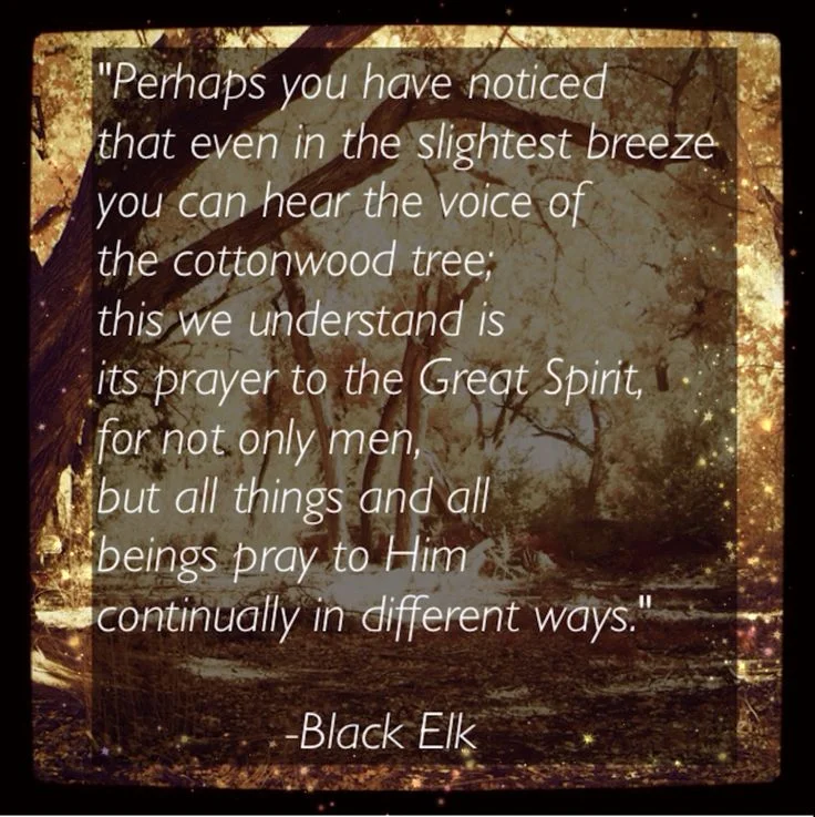4a32bba089ae5e2b3bdde8b3bdc50579--native-american-wisdom-american-indians.jpg