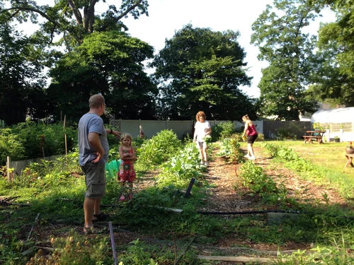 St. Francis Garden - Feeding Their Community
