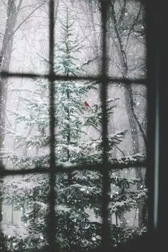 0d4e394d4957925d920964532b1956c3--winter-time-winter-snow.jpg