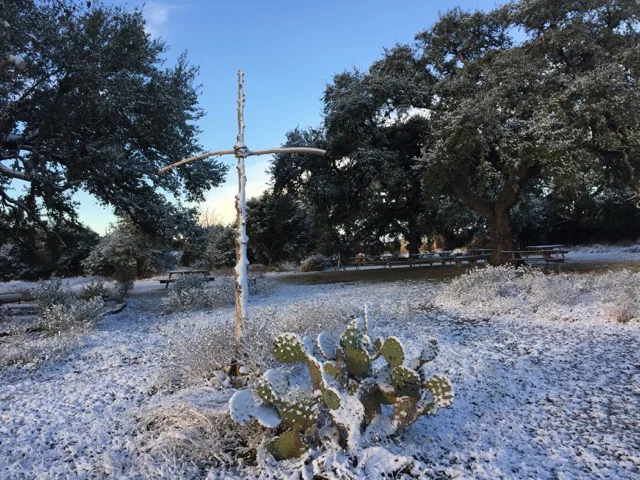 Snow! (Rev. Carmen Retzlaff)