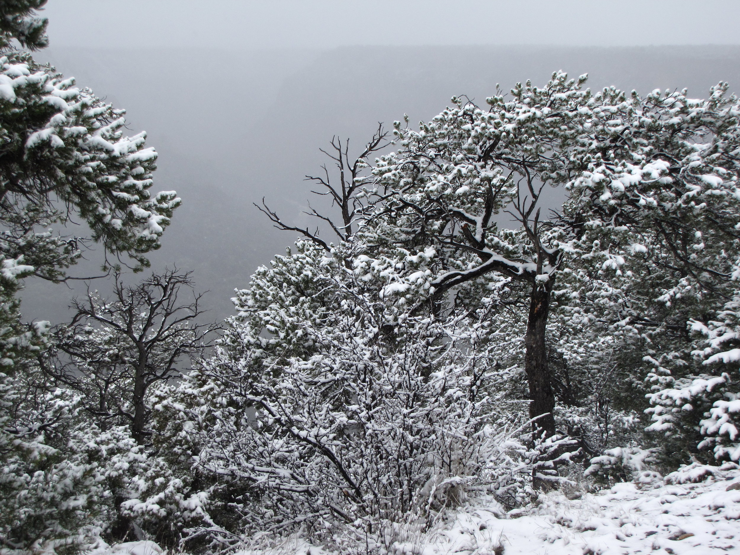 Winter (Rev. Tom VandeStadt)