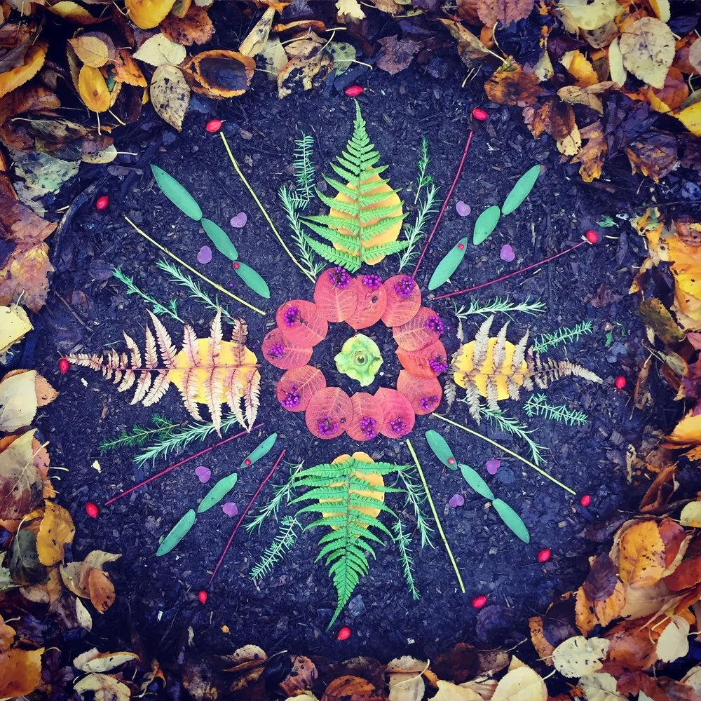 Discovering JOY in Our Wild Edges (Mary Plate DeJong)