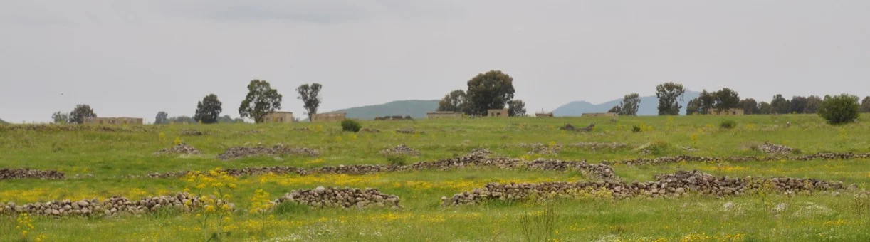 cropped-golan-landscape.jpg